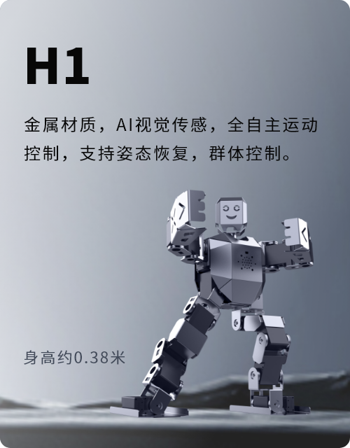 WhalesBot H1 金属教育人形机器人