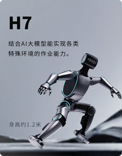 WhalesBot H7 大尺寸人形机器人