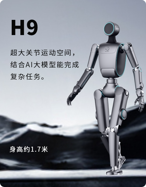 WhalesBot H9 全尺寸人形机器人